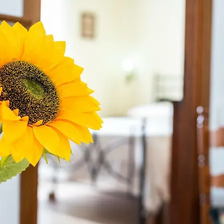 Imera Holiday home Rome